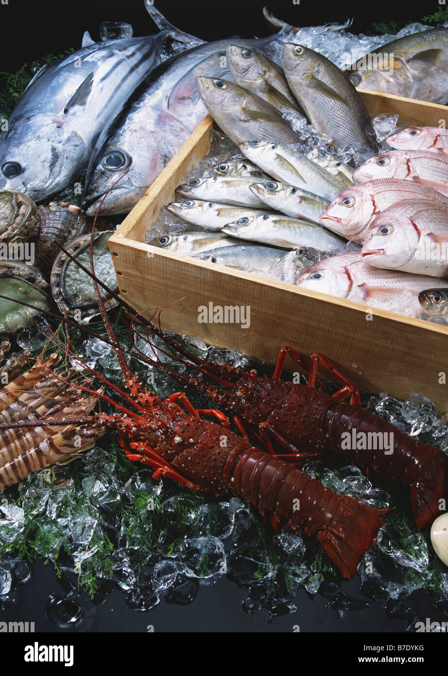 Fishery Products Stock Photo