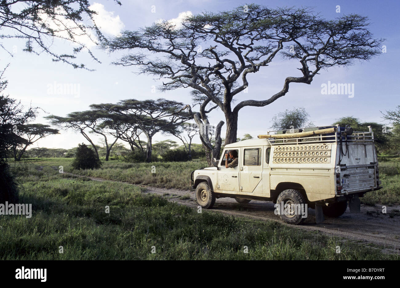 man with binoculars sitting in a landrover, Tanzania, Serengeti NP Stock Photo