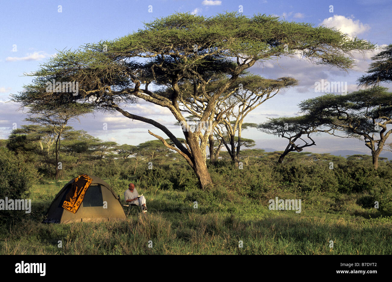 Acacia savannas in tanzania hi-res stock photography and images - Alamy