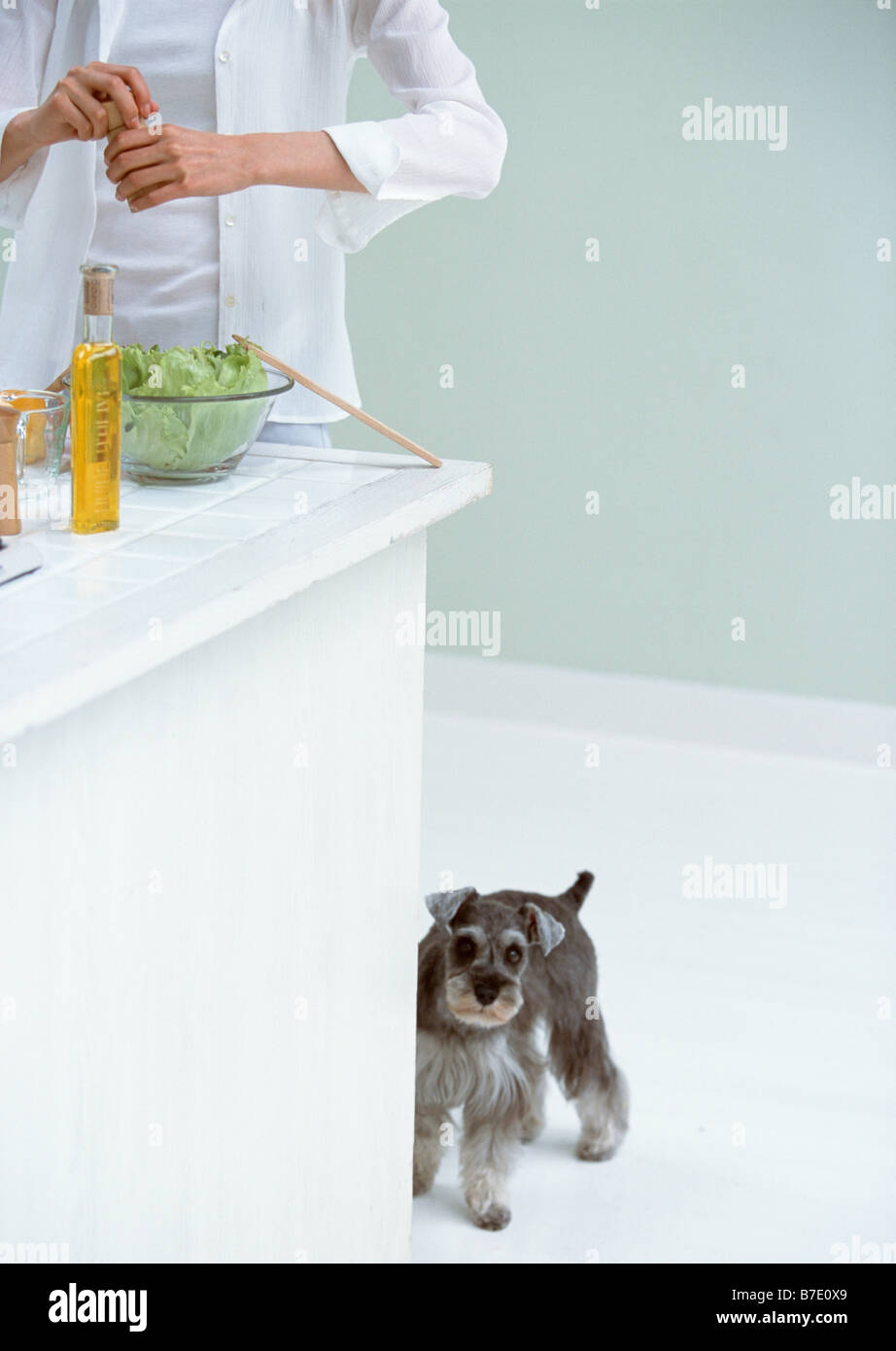 Cooking in kitchen with dog Stock Photo - Alamy