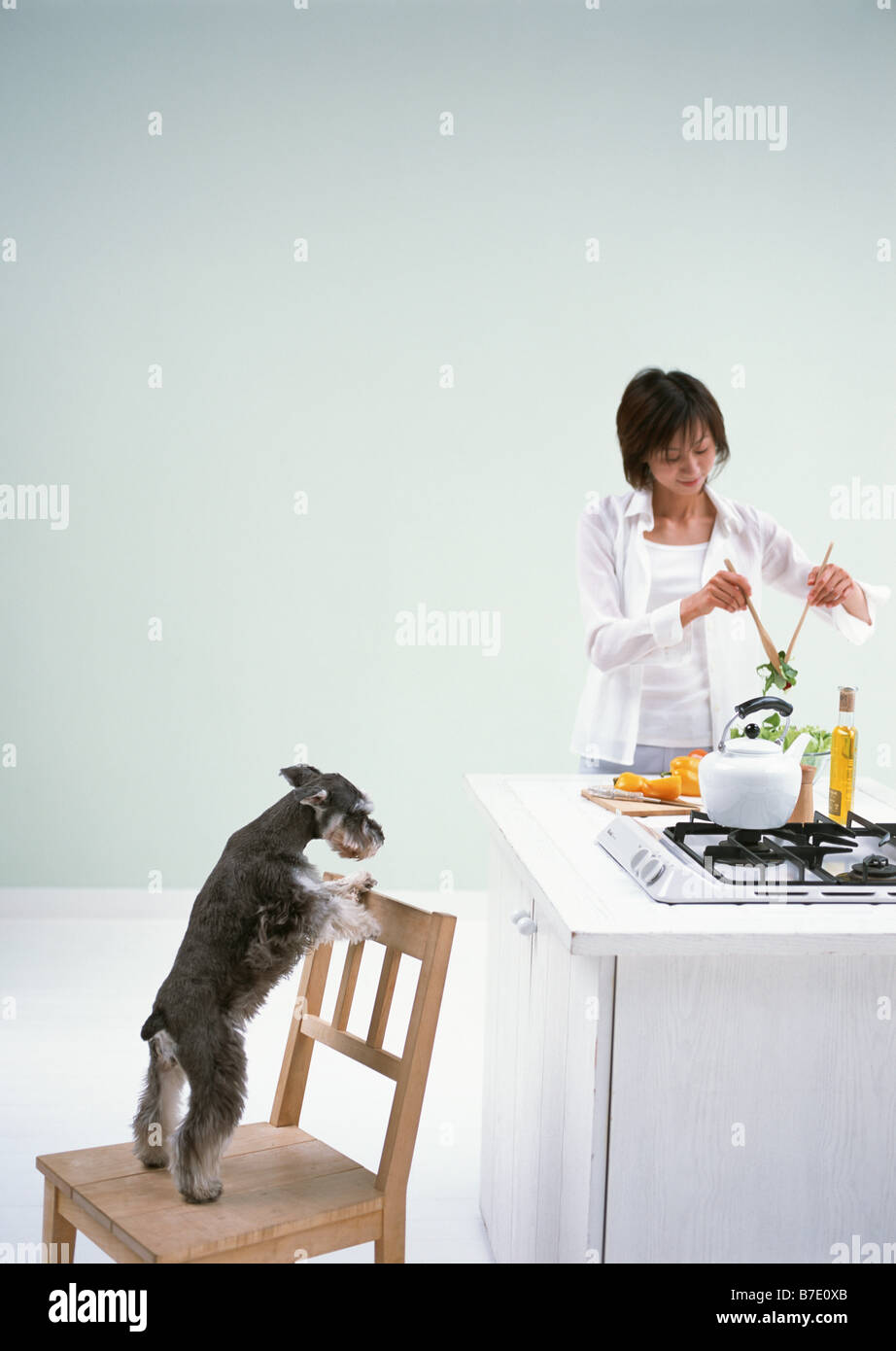 Cooking in kitchen with dog Stock Photo - Alamy