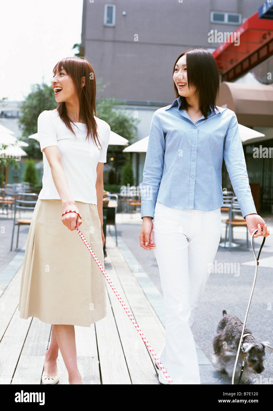 Dogwalking with friends Stock Photo Alamy