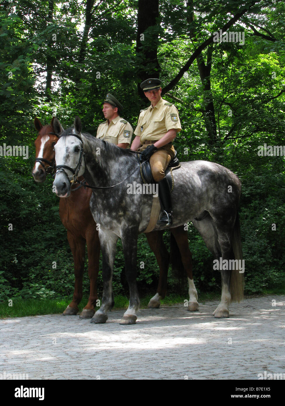 domestic horse (Equus przewalskii f. caballus), Police officers on horseback in the Englisch Garden, Germany, Bavaria, Muenchen Stock Photo