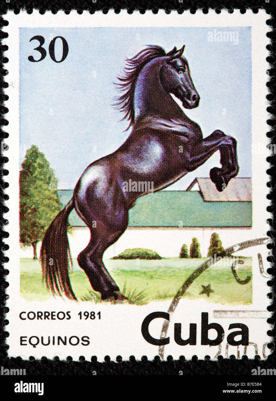 Horse, postage stamp, Cuba, 1981 Stock Photo Alamy