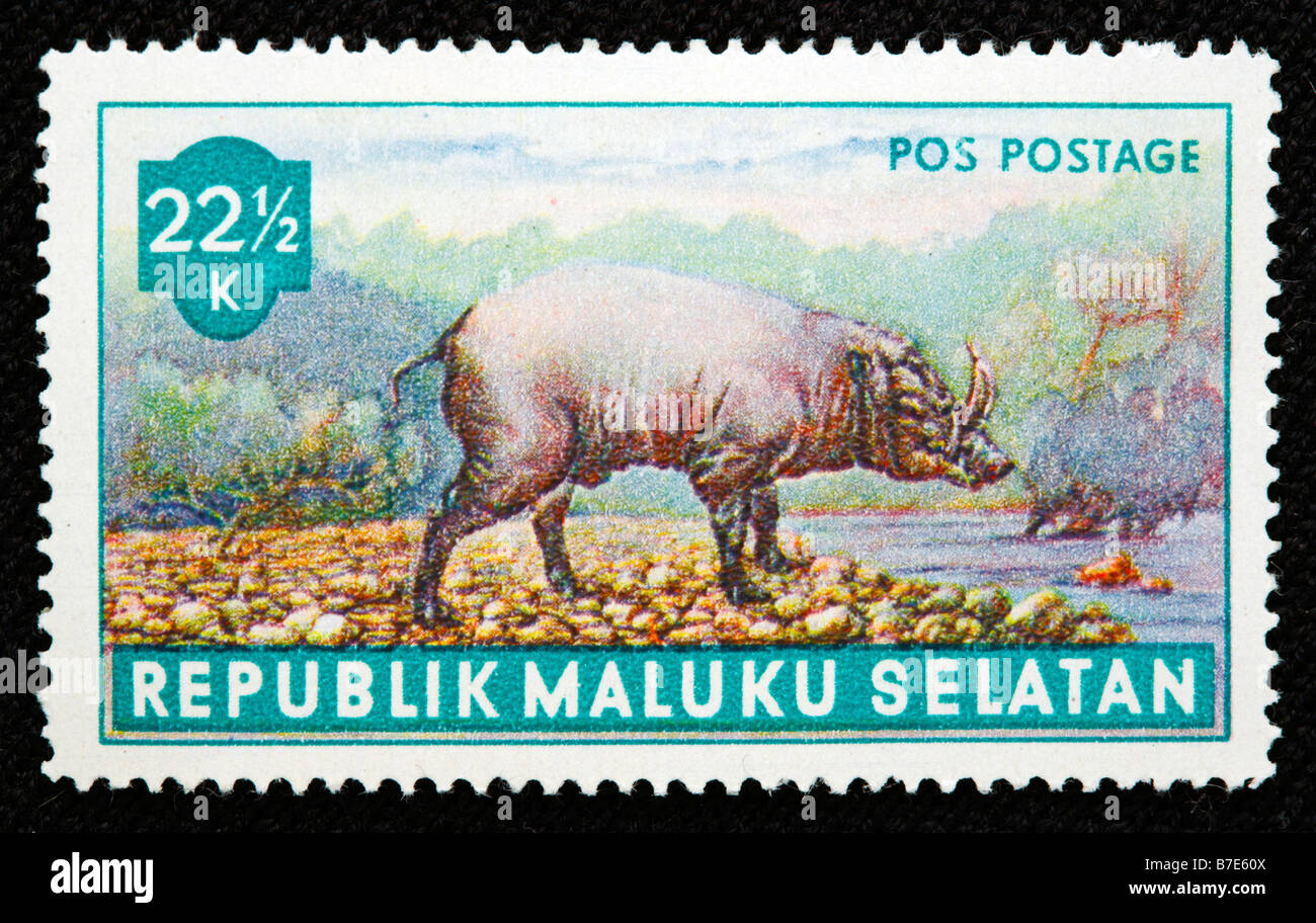 Wild boar (Sus scrofa), postage stamp, Maluku Selatan, Malaysia Stock Photo
