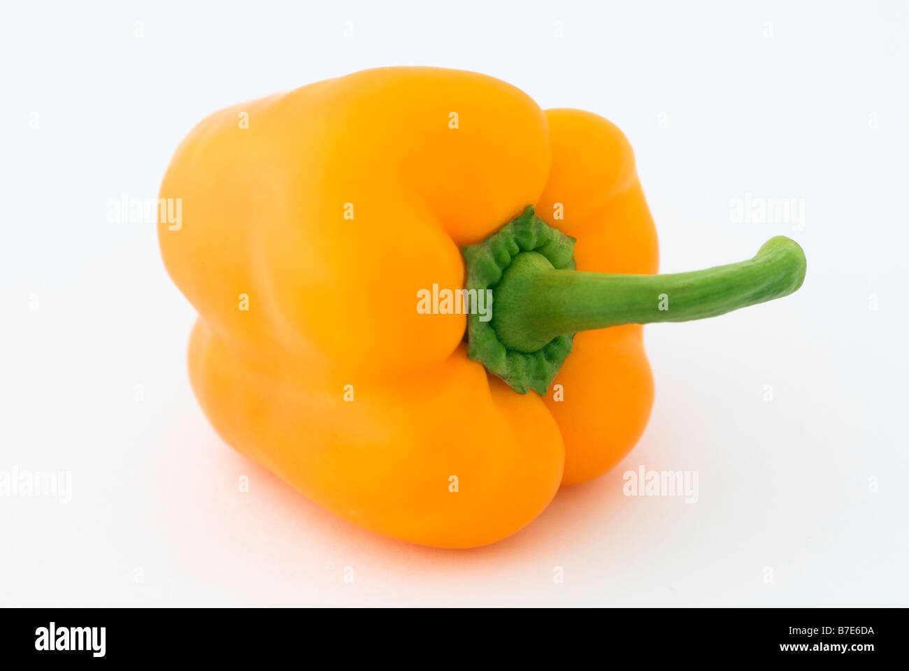 CAPSICUM ANNUUM BELL PEPPER Stock Photo Alamy