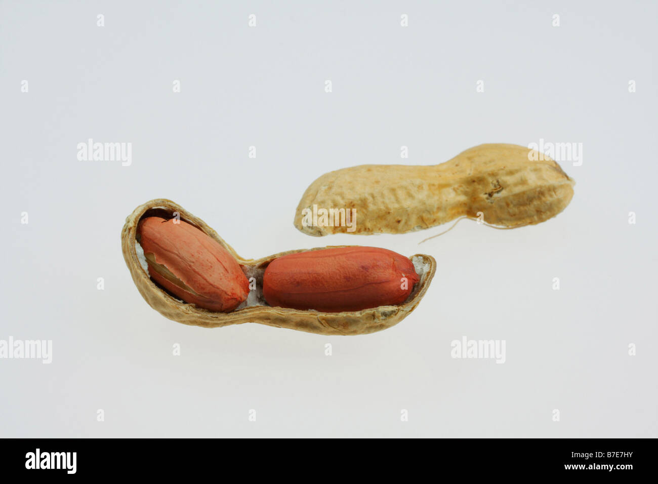 clip image cracked shell of roasted peanut Stock Photo