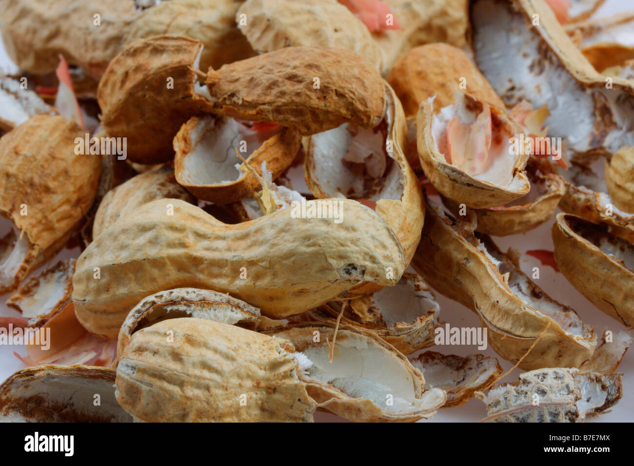cracked shells of roasted peanuts Stock Photo