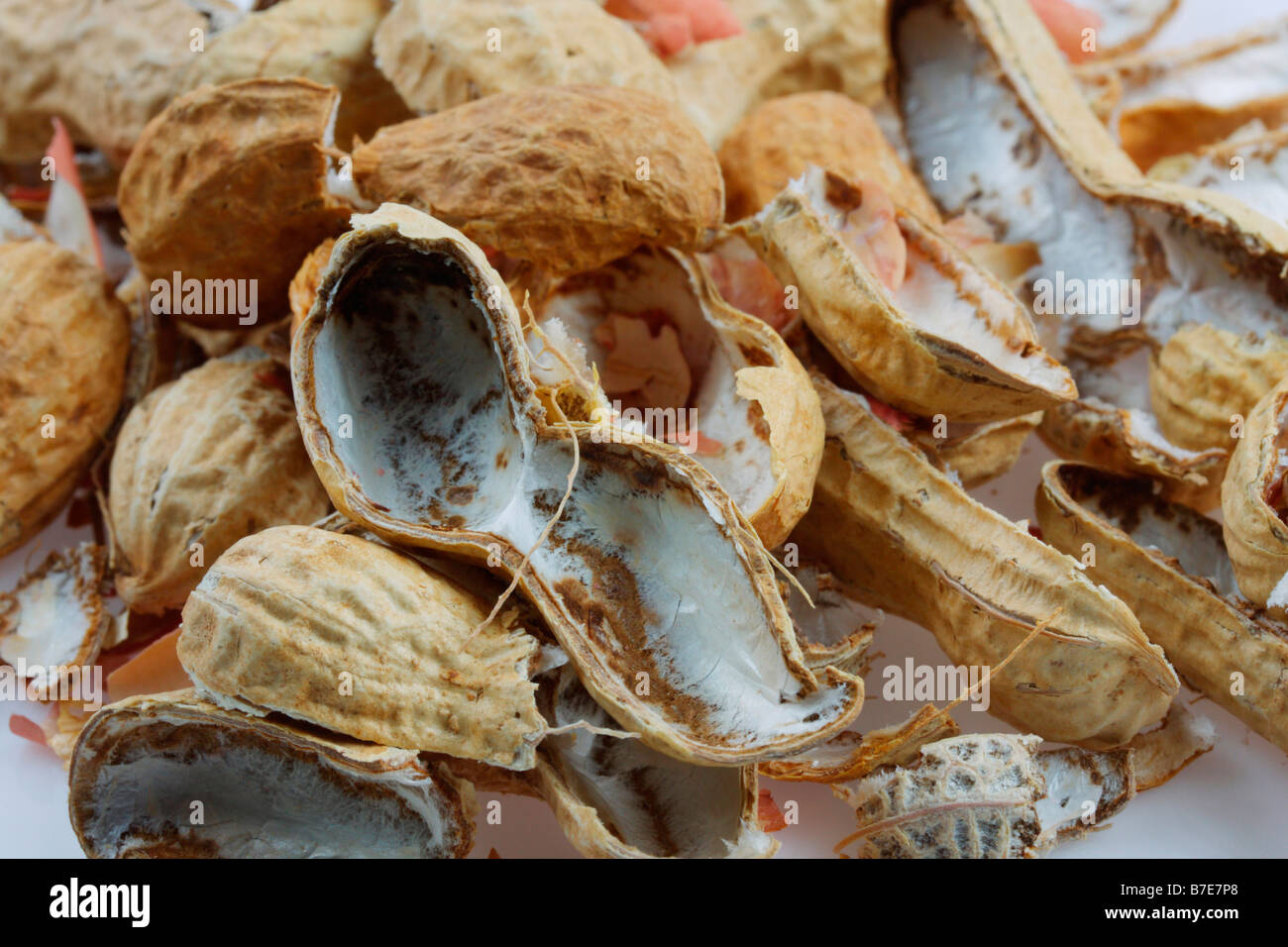 cracked shells of roasted peanuts Stock Photo Alamy