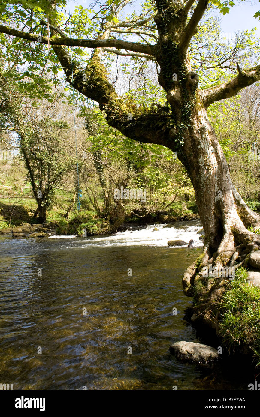 The Afon ( river) Dwyfor river valley in springtime near Criccieth in