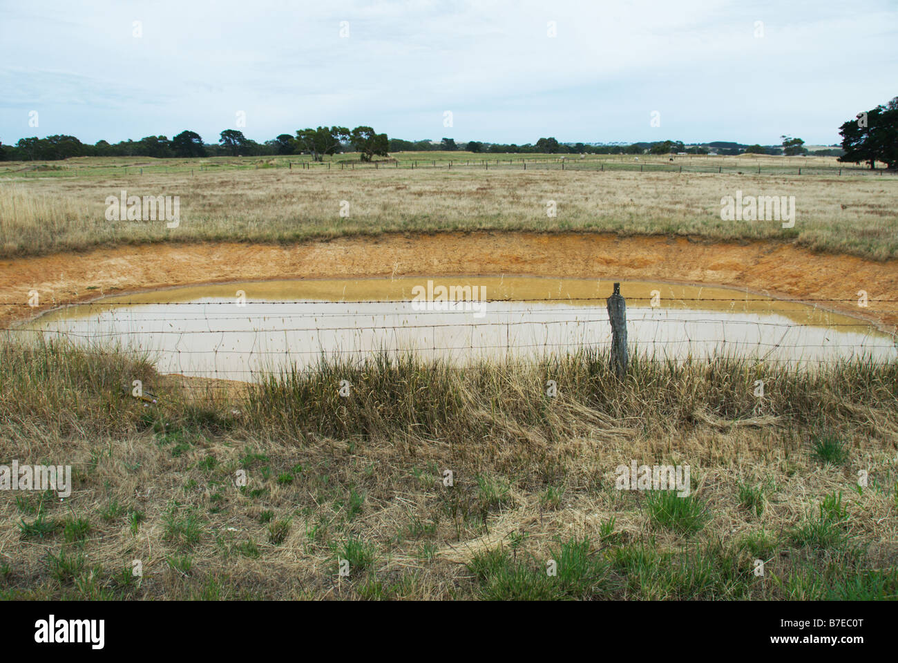The muddy waters of a dam which provides water for stock are at a low