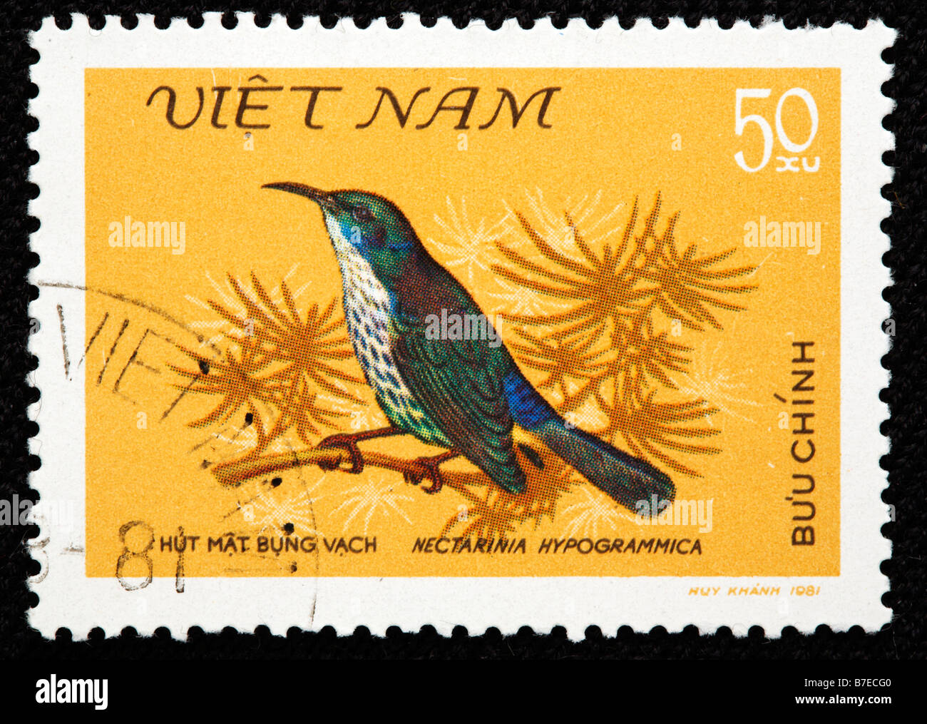 Purple naped, Sunbird Hypogramma hypogrammicum, postage stamp, Vietnam