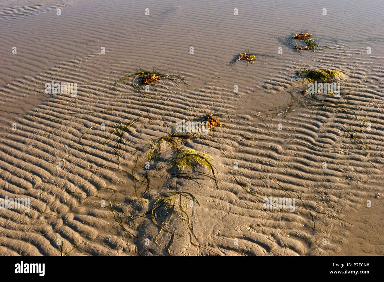 Sandy Strand Sandbotten strand hi-res stock photography and images - Alamy