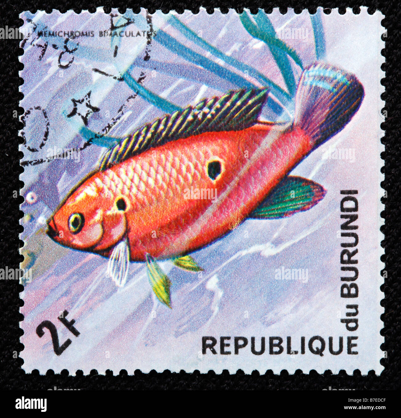 Jewel cichlid, Hemichromis bimaculatus, fish, postage stamp, Burundi, 1974 Stock Photo