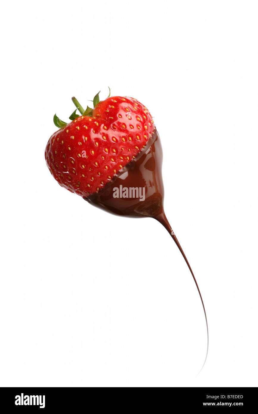 Strawberry dipped in chocolate Stock Photo Alamy