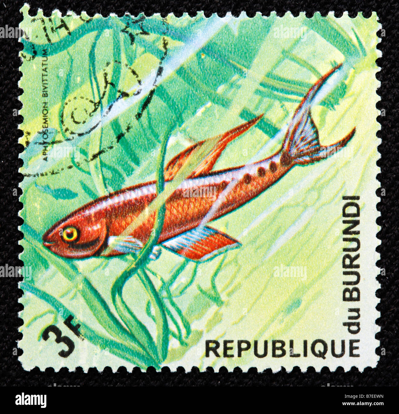Twostripe lyretail (Aphyosemion bivittatum), fish, postage stamp, Burundi, 1974 Stock Photo