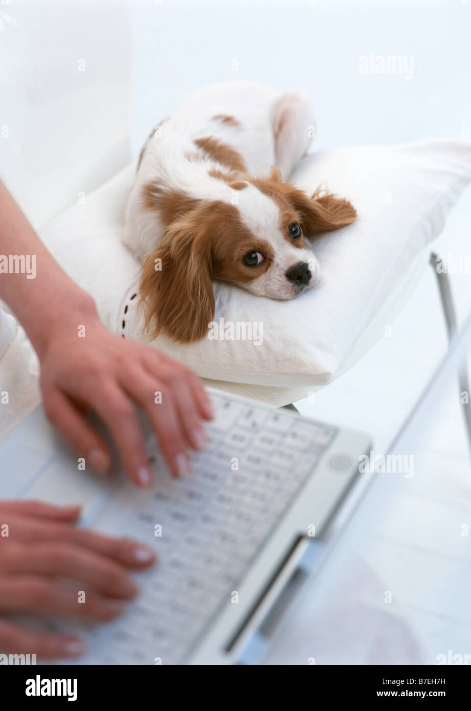 Personal Computer Scene Stock Photo