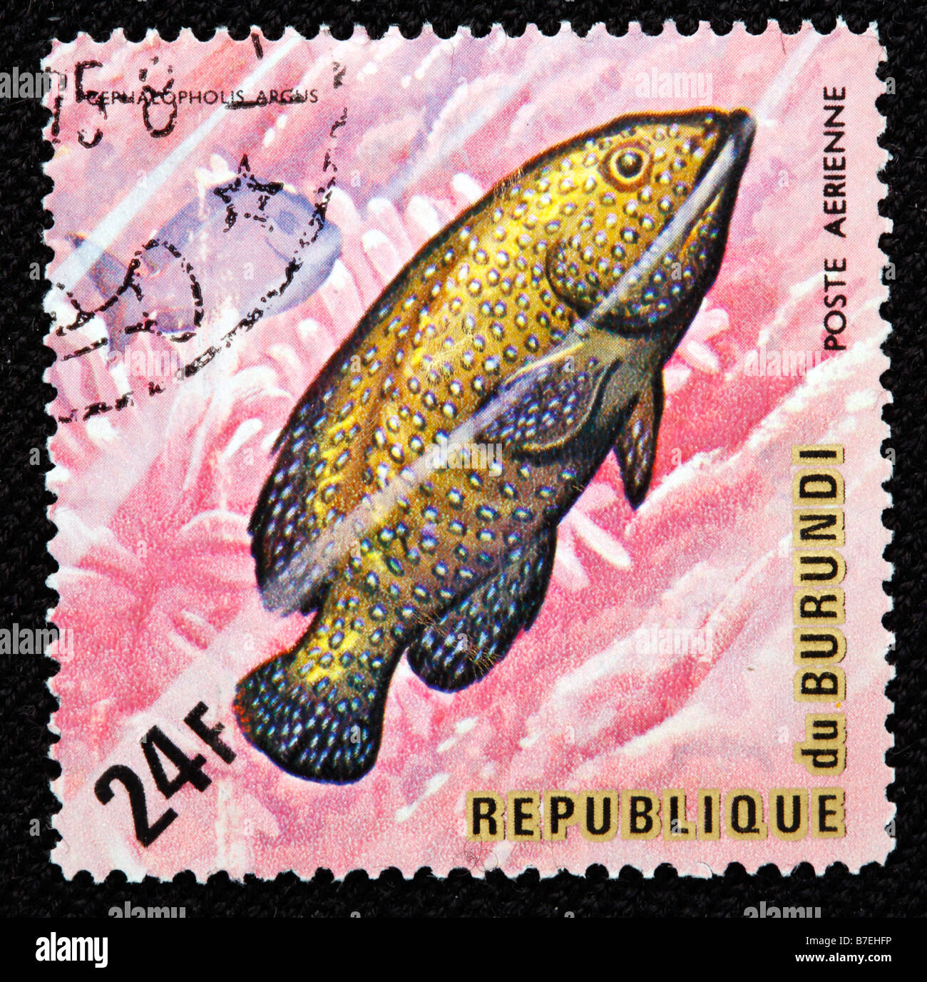 Blue spotted Grouper, Argus Grouper, Peacock Hind, Peacock Rockcod, Cephalopholis argus, fish, postage stamp, Burundi, 1974 Stock Photo