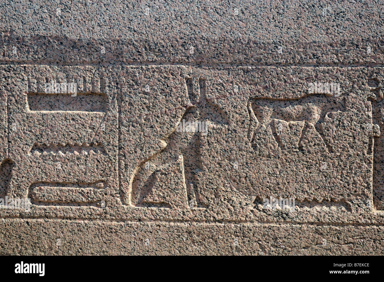 Hieroglyphs including a rare image of the god Seth Tanis Egypt 081111 31903 Stock Photo