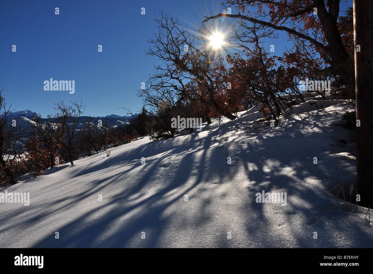 Sun and Snow Stock Photo Alamy