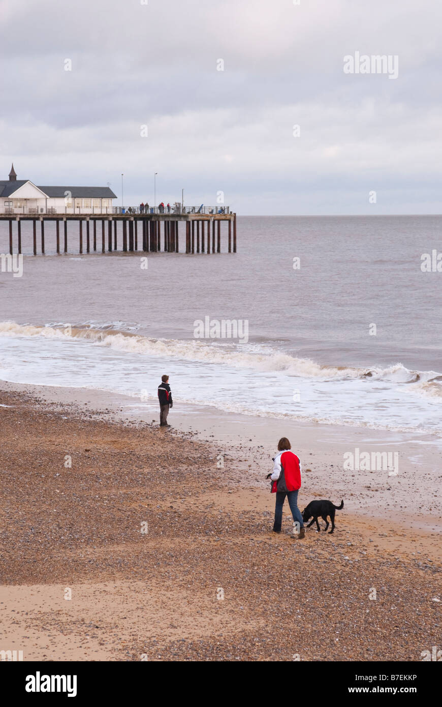 Person walking a dog hi-res stock photography and images - Alamy