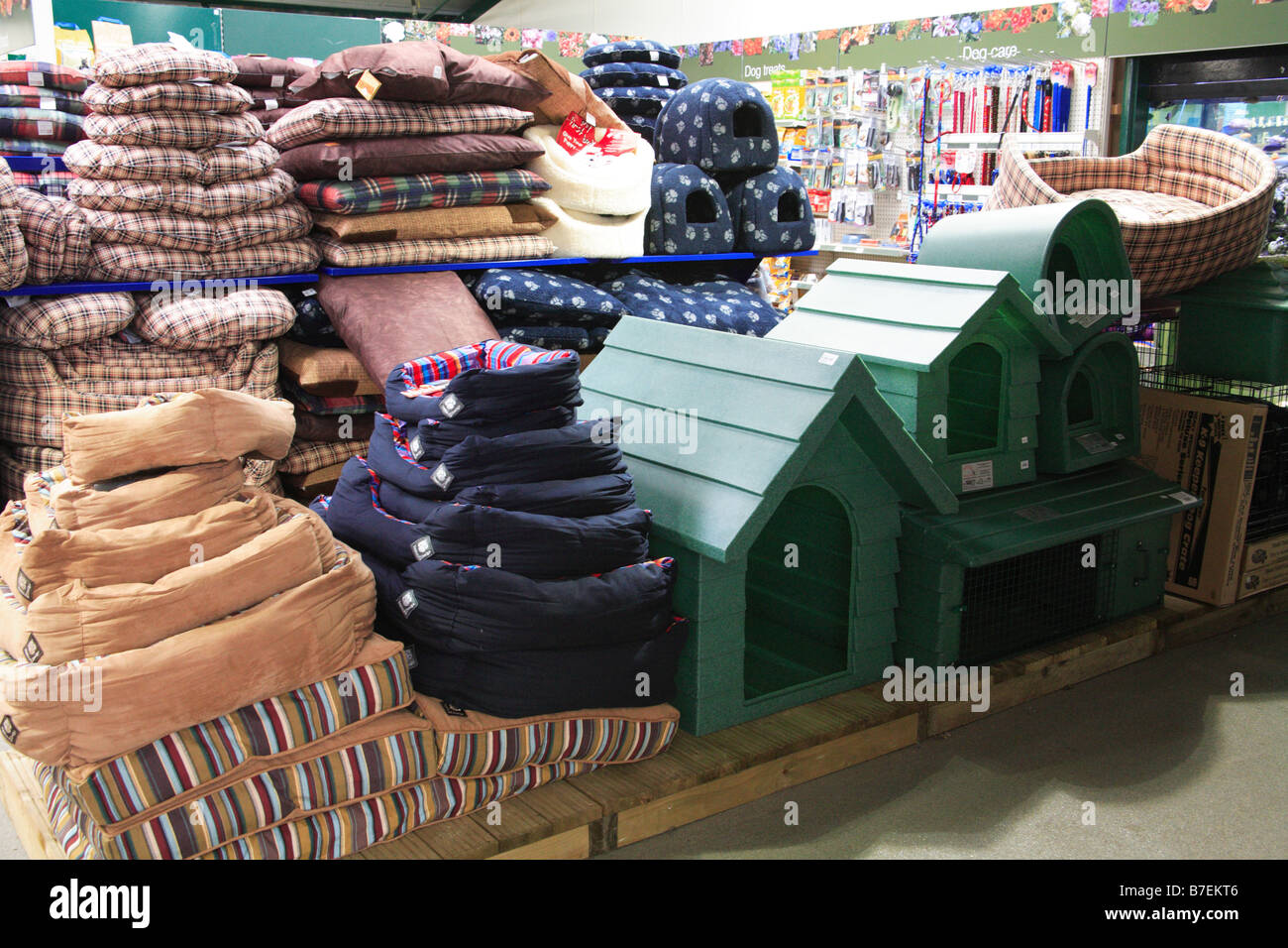 Dog house supplies cushion bed pet shop retail Stock Photo