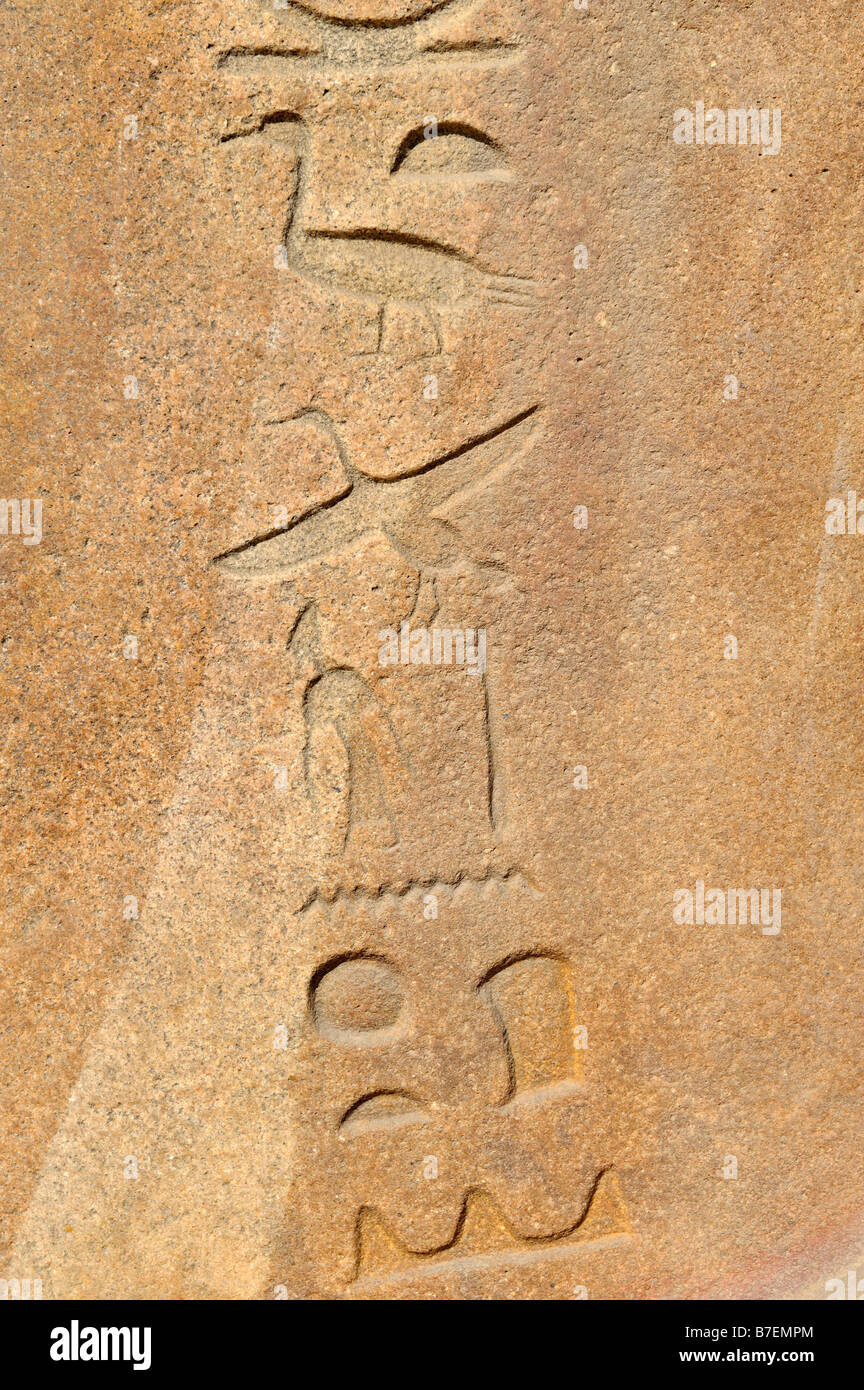 Egyptian Hieroglyphs for Hittite, Tanis, Egypt  081111 31922 Stock Photo