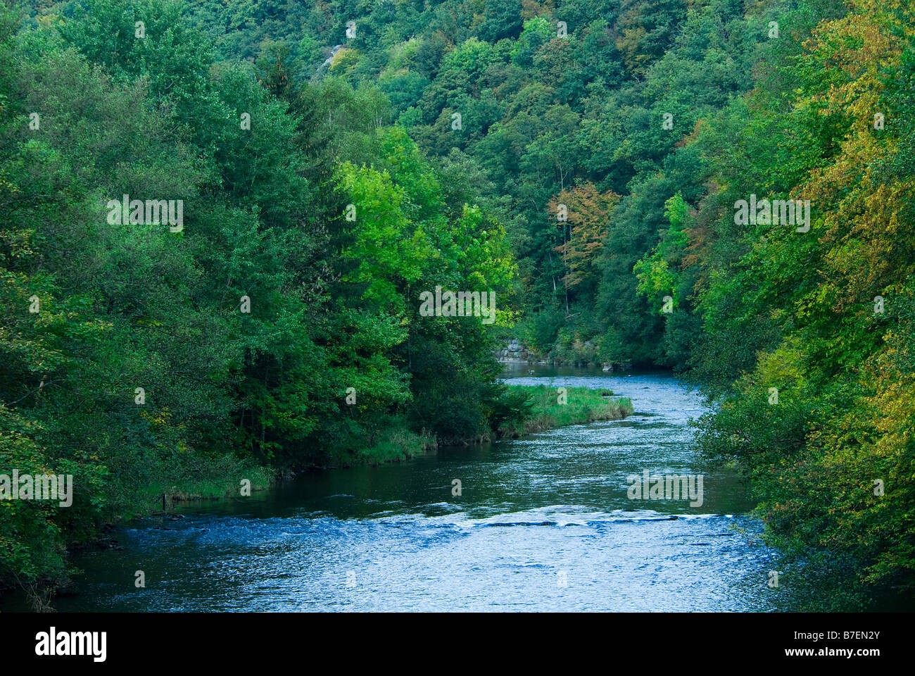 Ardennes forest, belgium hi-res stock photography and images - Alamy