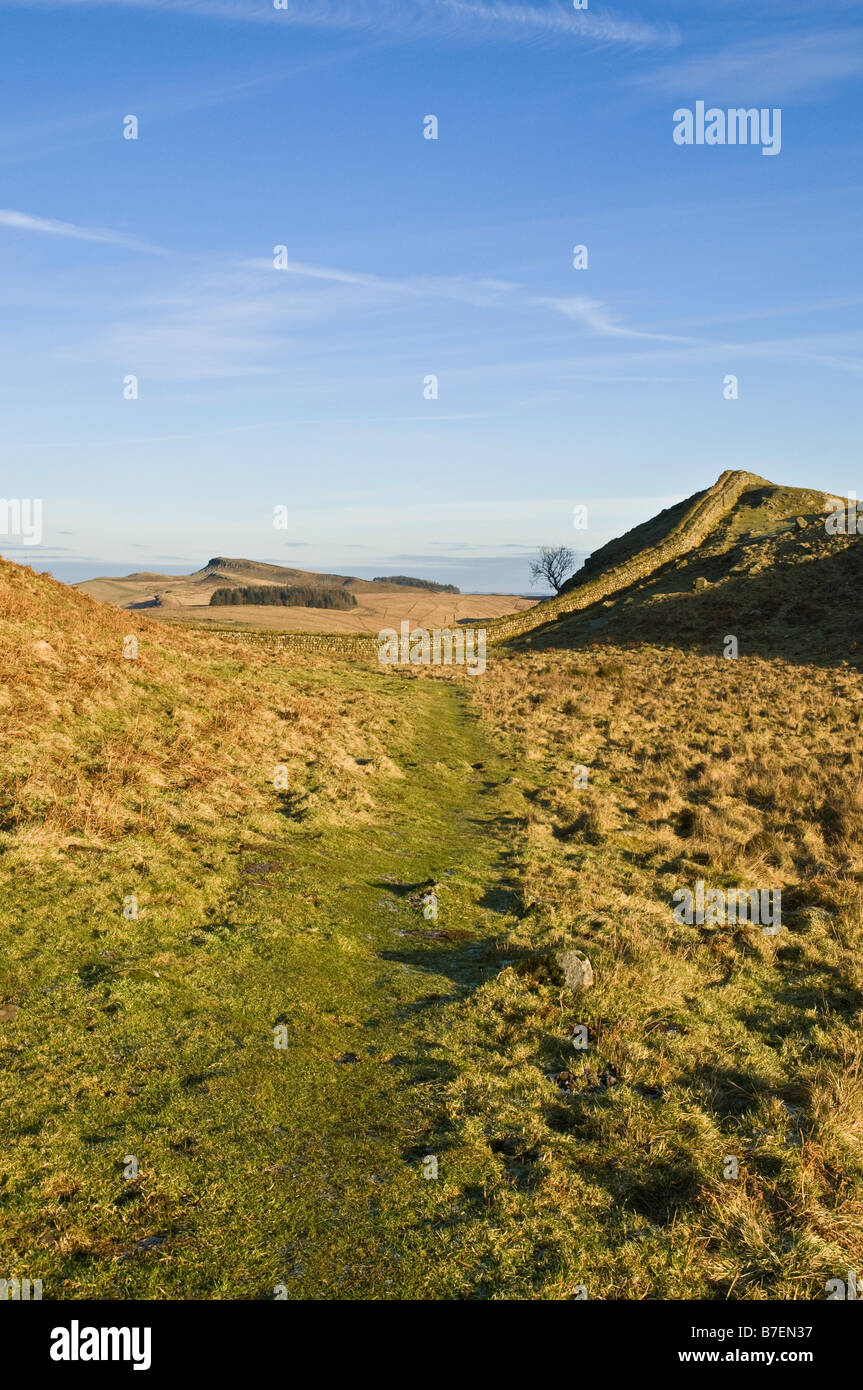 dh Hotbank Crags HADRIANS WALL NORTHUMBRIA Roman wall Northumberland National Park footpath Stock Photo