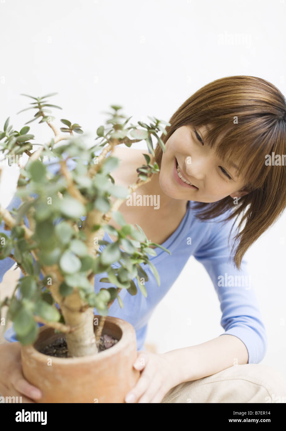 A woman looking at foliage plant Stock Photo - Alamy