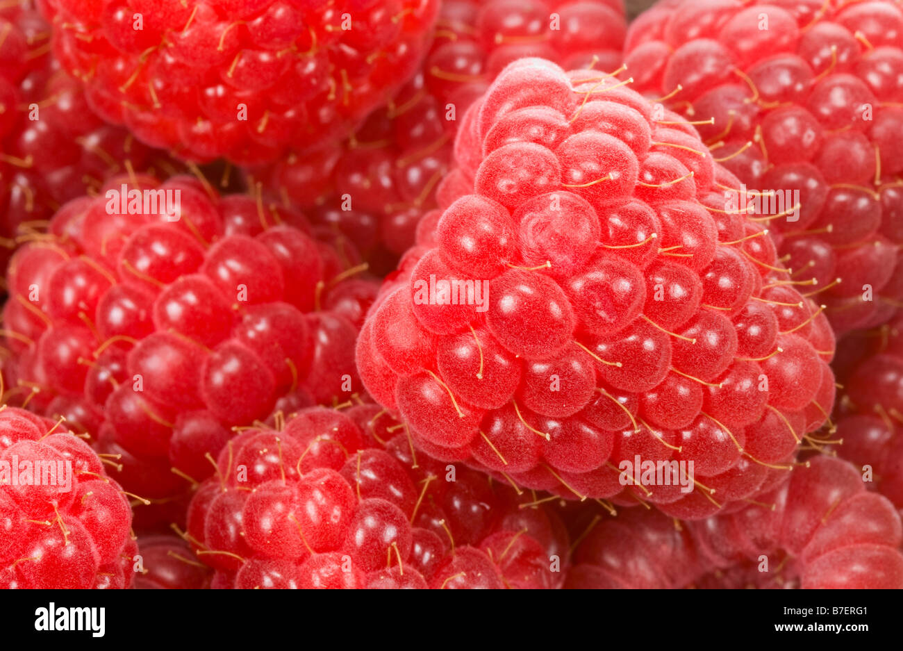 close up of fresh raspberries for backgrounds Stock Photo