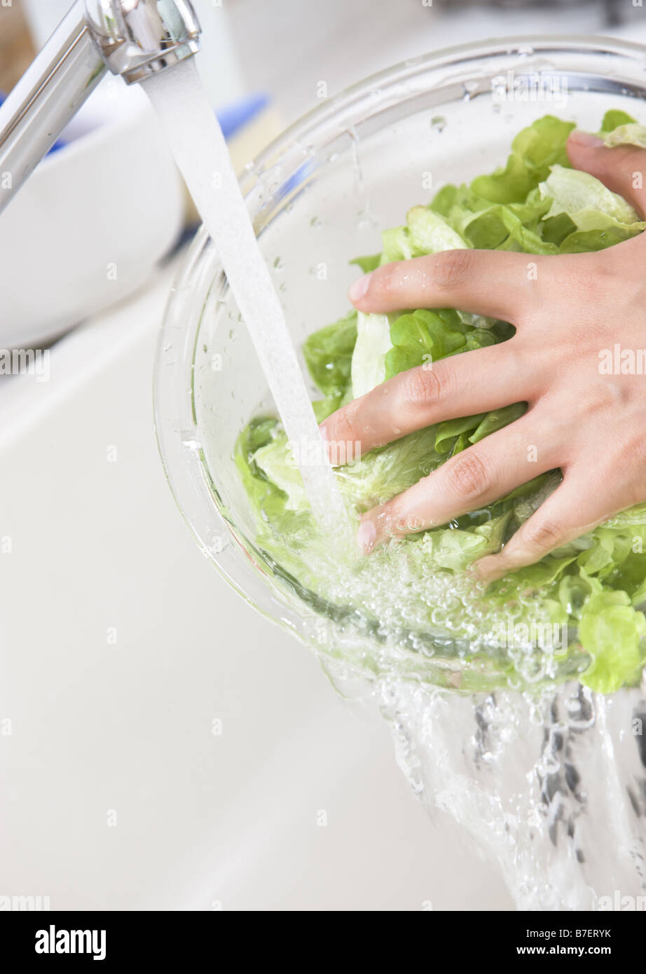Lettuce wash hires stock photography and images Alamy