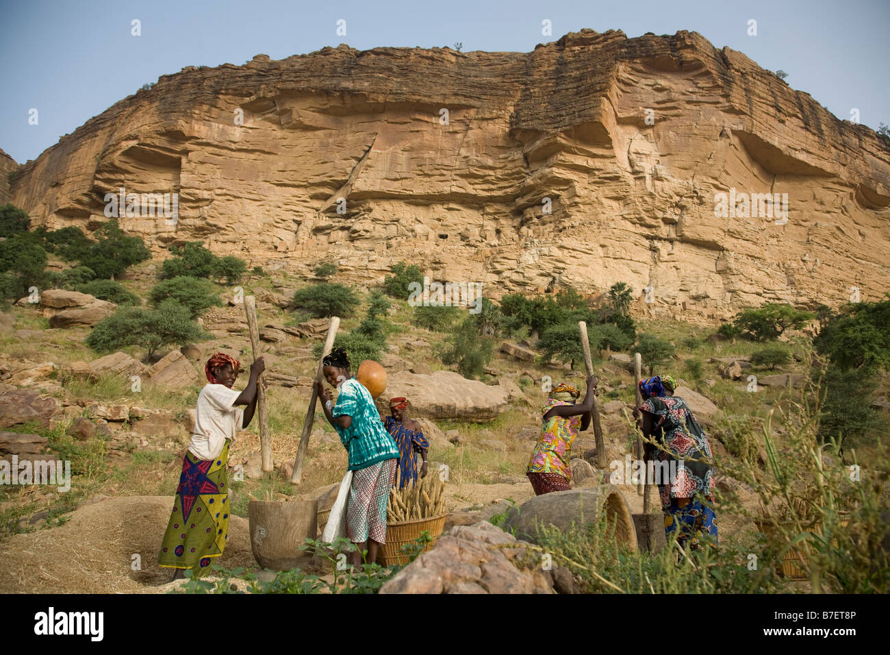 Pounding millet in the Dogon Valley Stock Photo