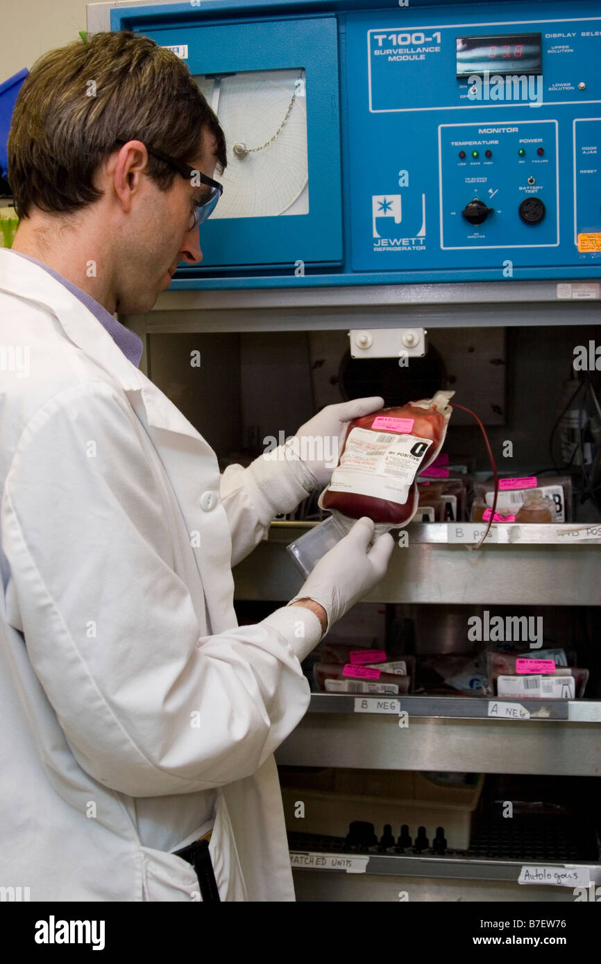 Male lab technician holds unit of blood with more blood in refrigerator