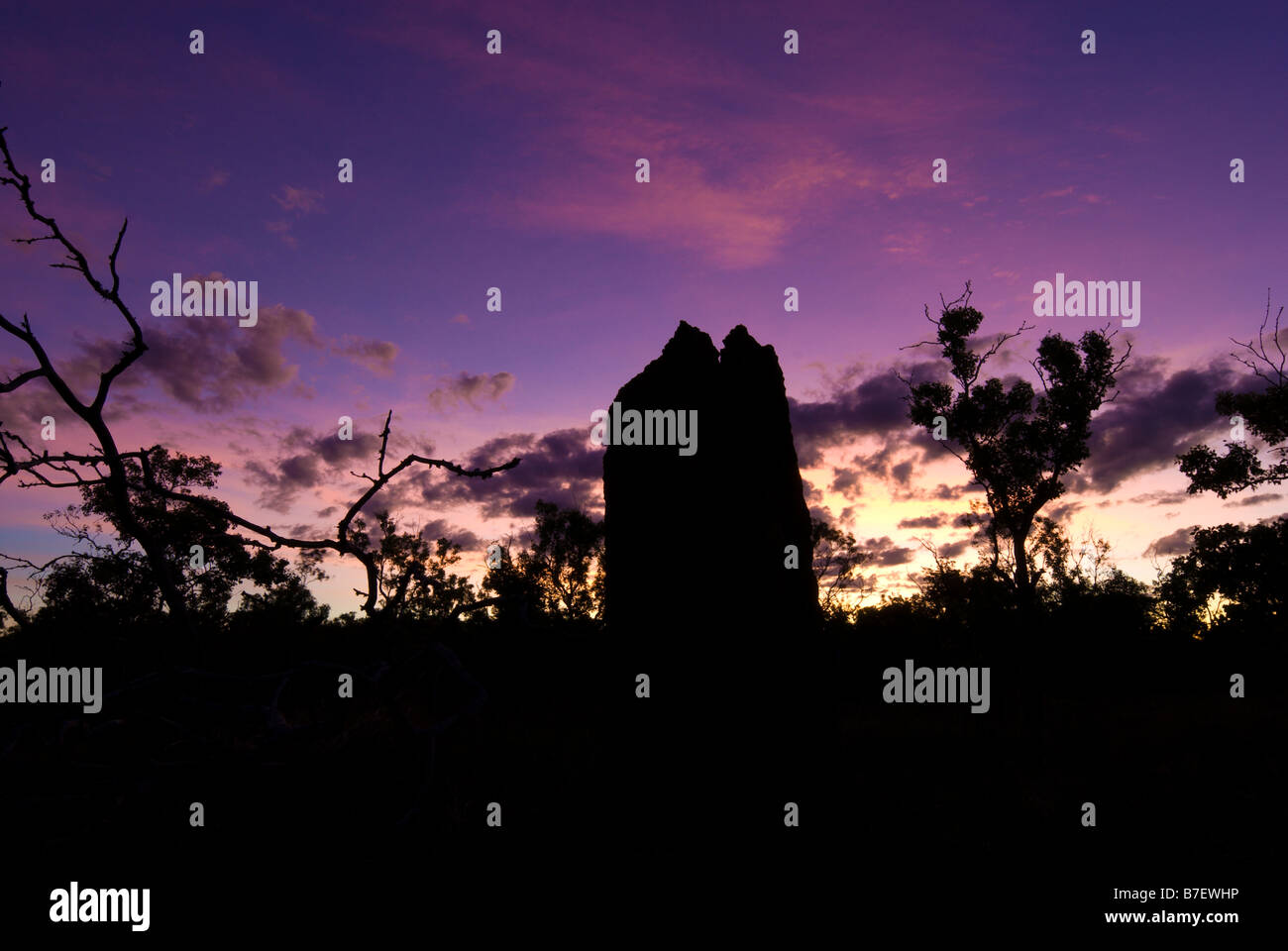 Silhouette of an Anthill and Trees at sunset in Kakadu National Park Stock Photo