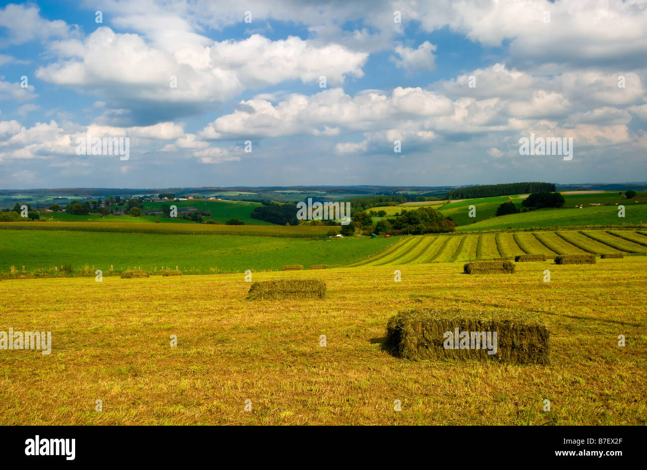 beautiful farmland landscape in belgium Stock Photo