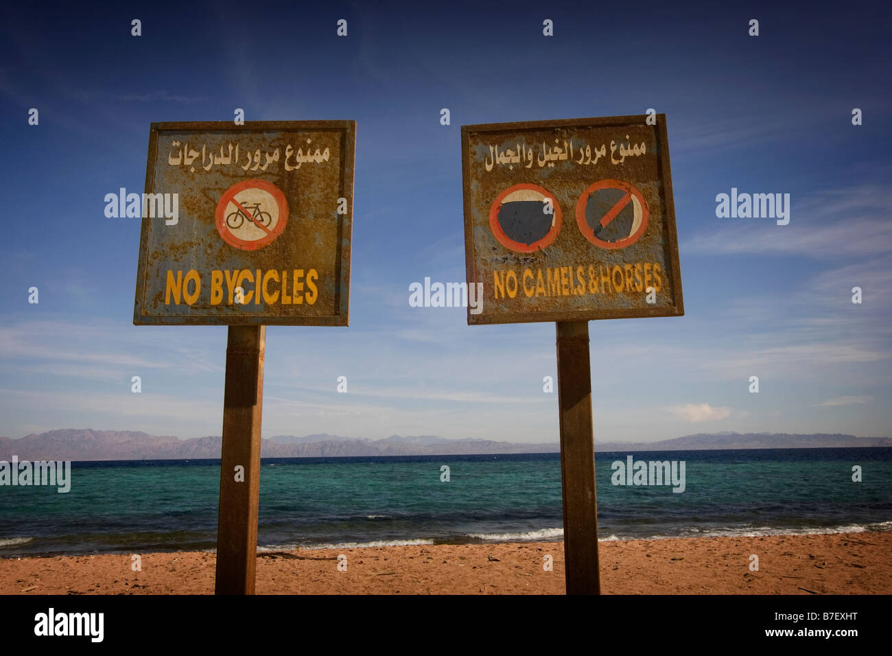 Two warning sign boards on the beach, Dahab,Egypt Stock Photo Alamy