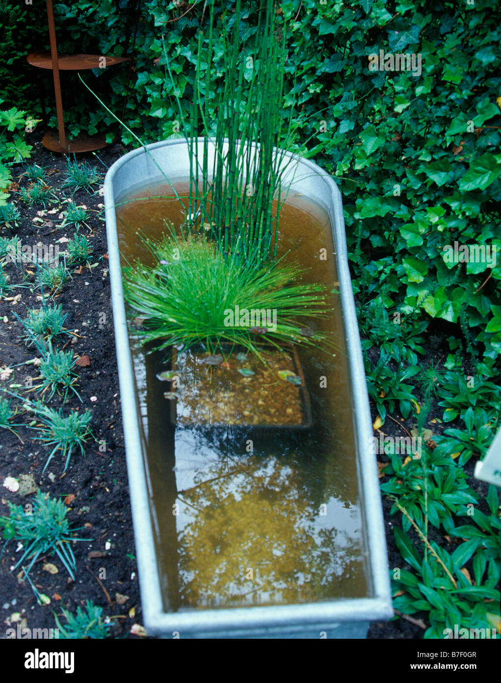 TIN BATH WATER FEATURE Stock Photo Alamy