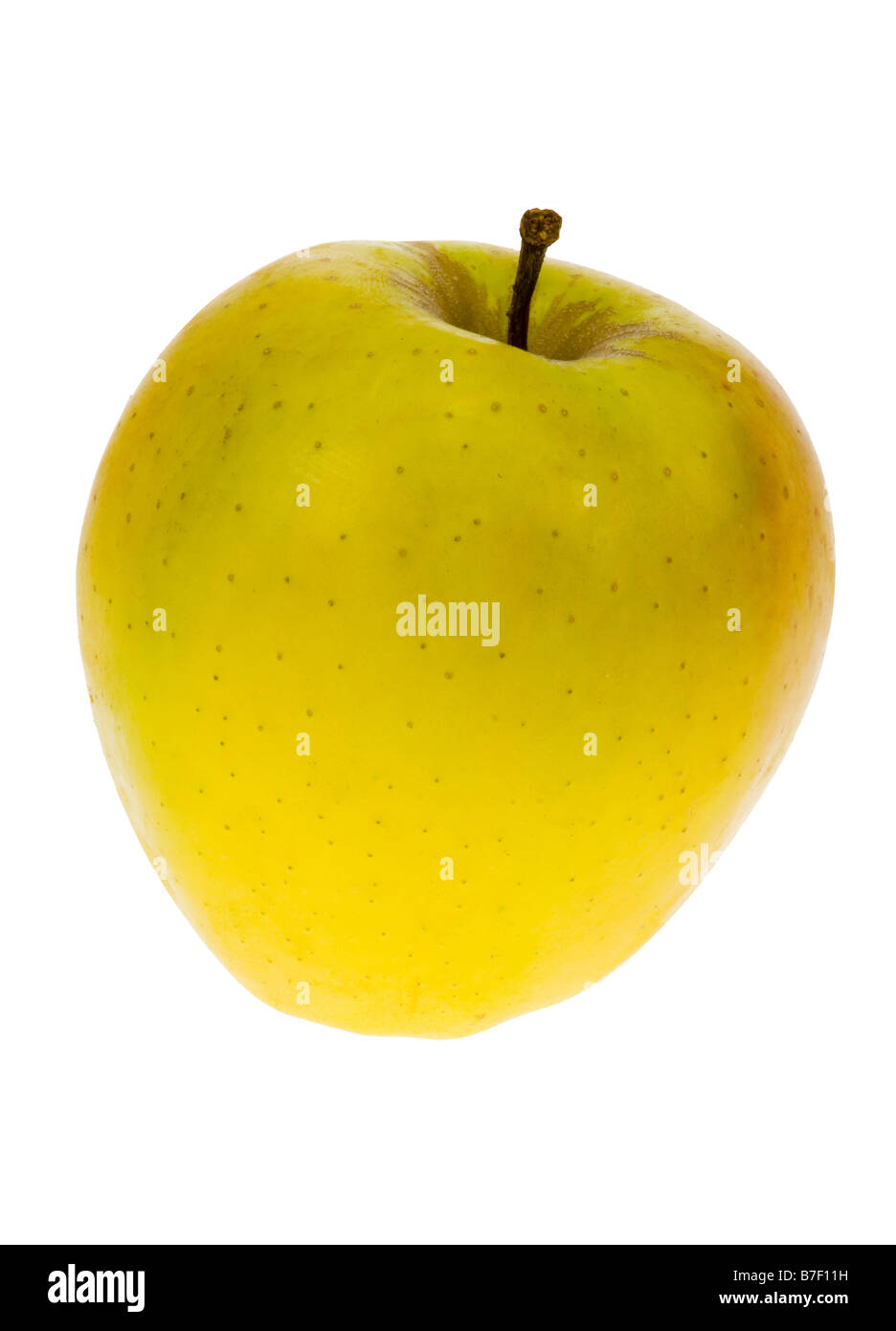 fresh yellow golden delicious apple isolated on a white background Stock Photo