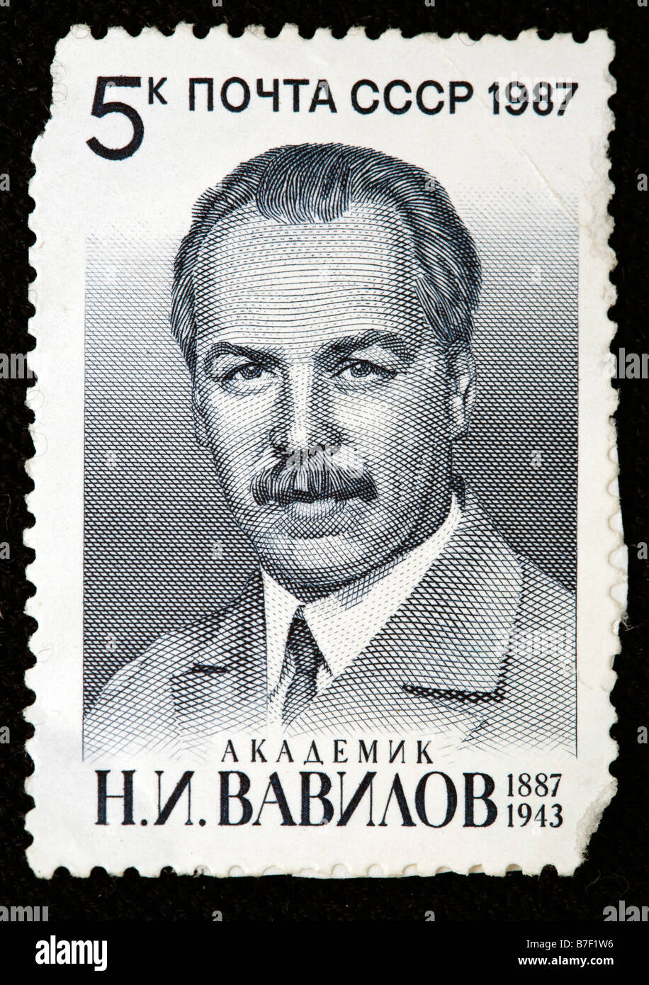 Nikolai Vavilov (1887-1943), Russian Soviet botanist and geneticist, postage stamp, USSR, 1987 Stock Photo