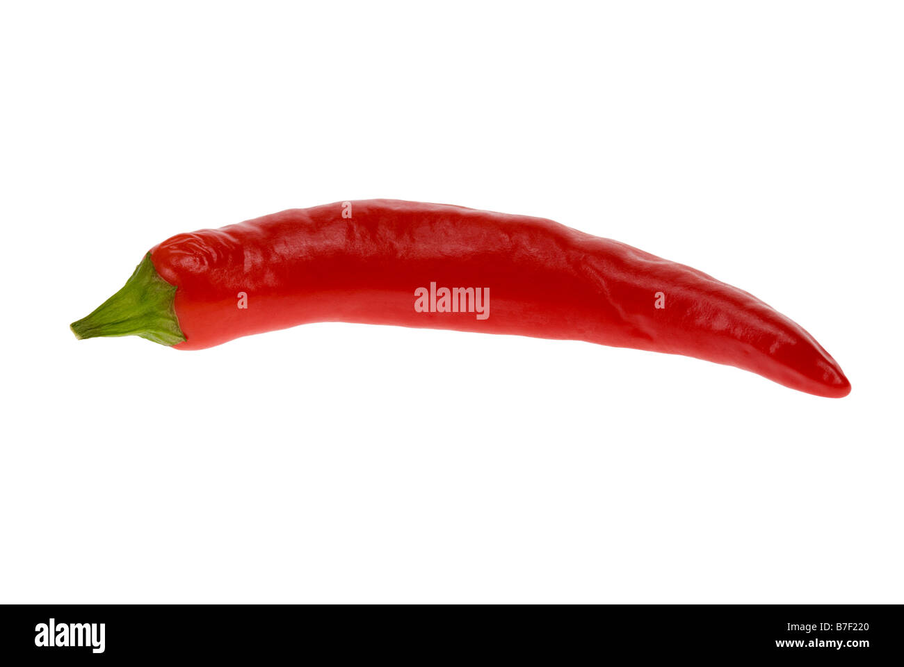 red chili pepper isolated on a white background Stock Photo - Alamy