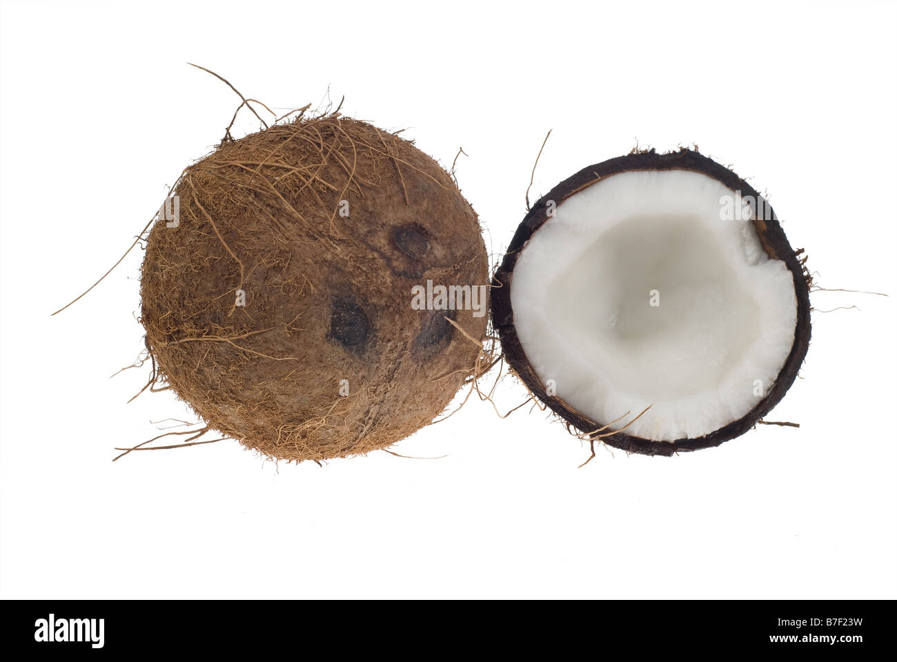 coconut isolated on white background no shade so its easy to select and edit Stock Photo