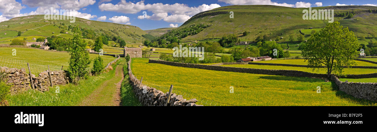 Panoramic View of Barns and Fields Surrounding the Village of Muker, Swaledale, Yorkshire Dales, England, UK Stock Photo