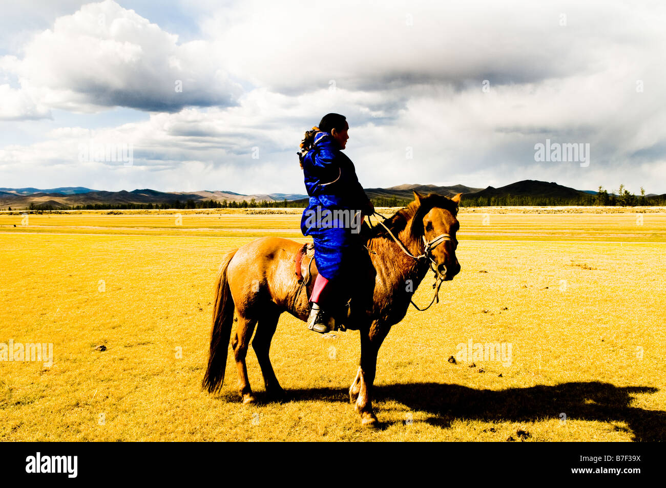 A Mongolian nomad on her horse Stock Photo - Alamy