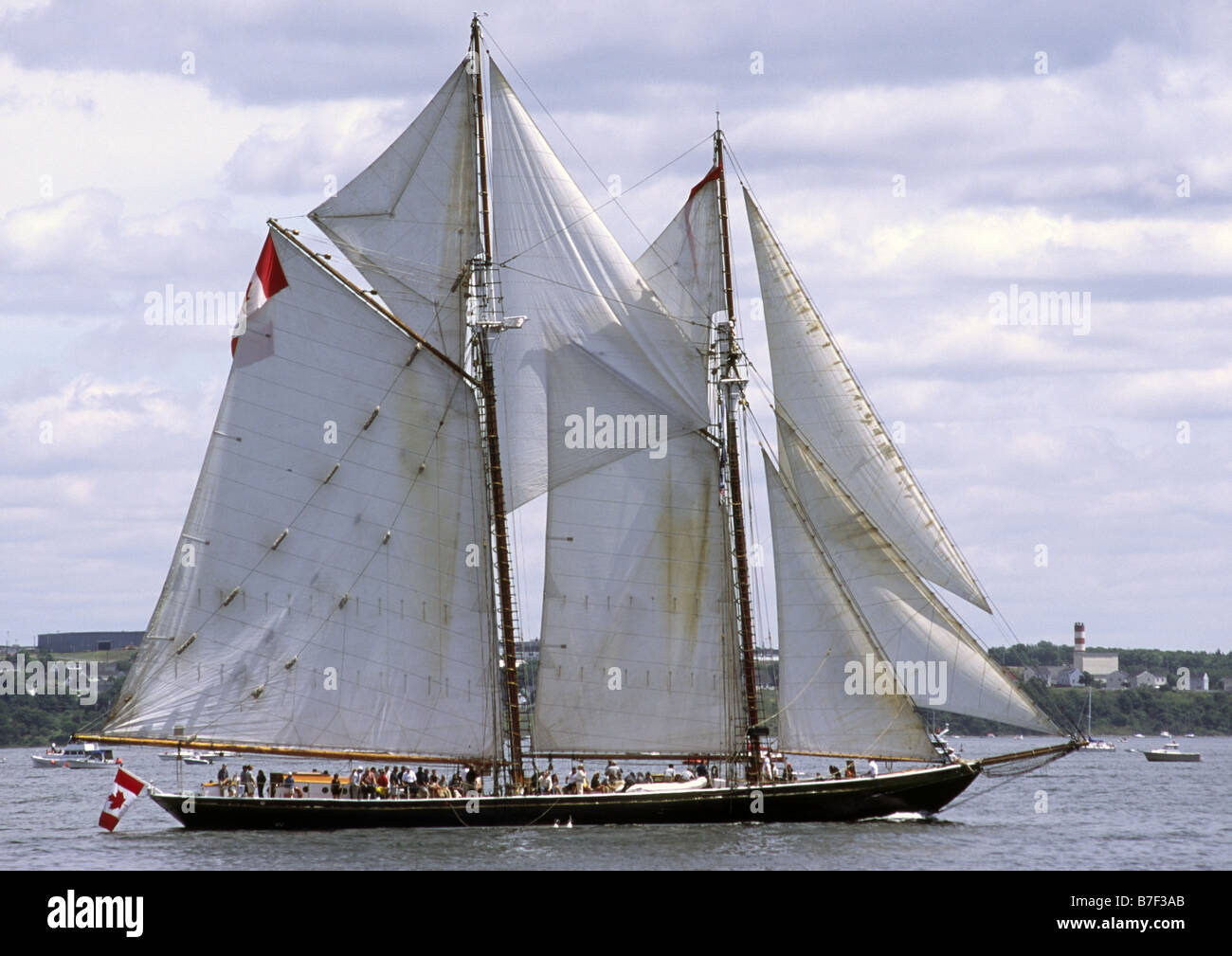 tall ship schooner highlander sea Stock Photo - Alamy