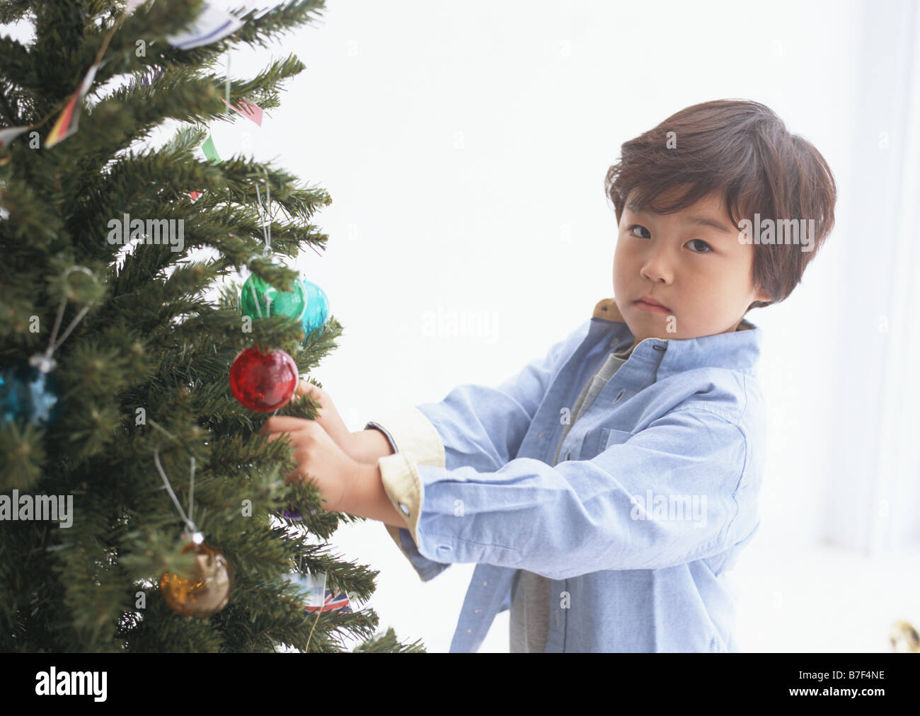 Boy decorating a Christmas tree Stock Photo Alamy