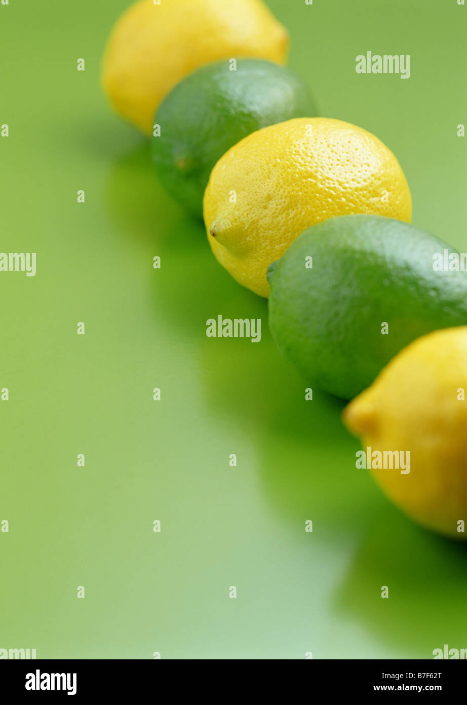Lemons and limes Stock Photo Alamy