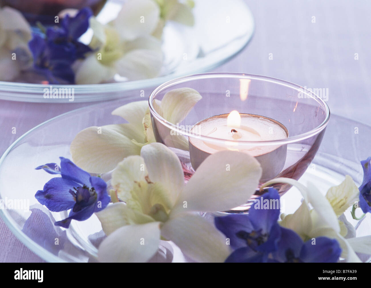 Lit floating candles and flowers Stock Photo Alamy