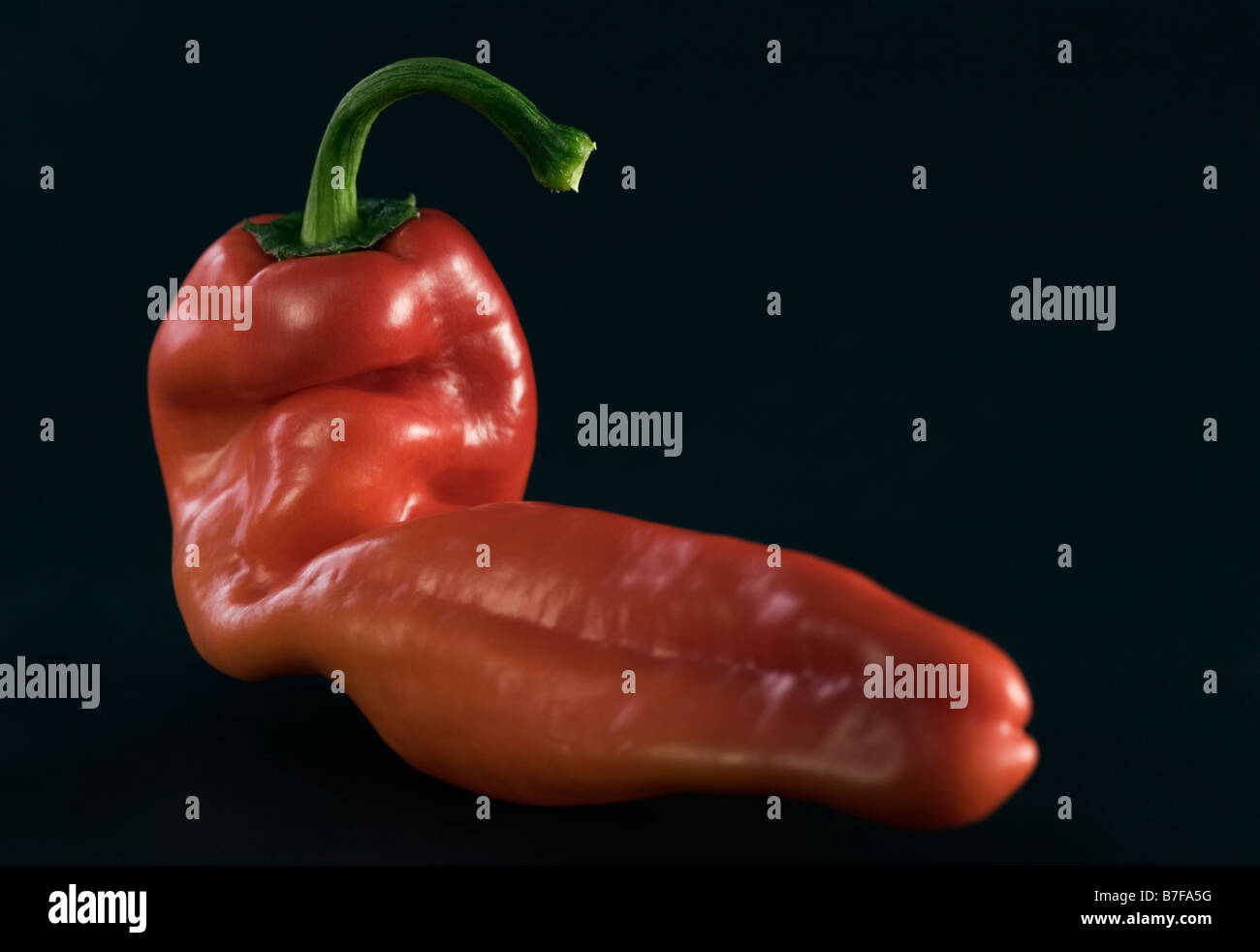 Red sweet pointed Pepper on black background Stock Photo - Alamy