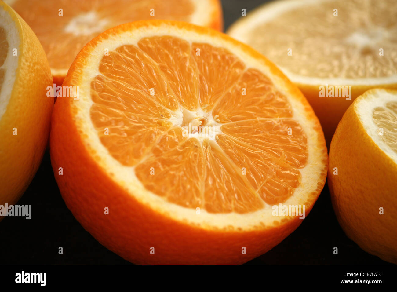 Cut Citrus Fruit Stock Photo Alamy cut-citrus-fruit-stock-photo-alamy